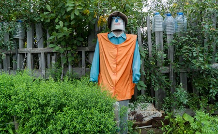 a scarecrow on a farm in Kazakhstan.の写真素材