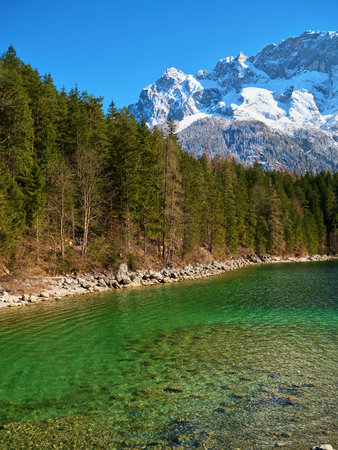Stunning alpine lake surrounded by evergreen trees and majestic mountains on a clear day