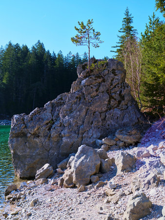 Rock formation by the lake with a lone tree thriving amidst the serene nature on a clear dayの写真素材