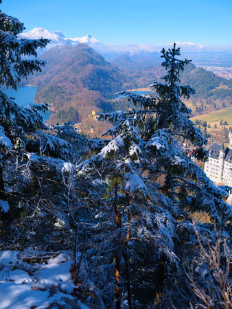 Scenic winter view of a snow-covered landscape in the mountains with a lake and castle in Germanyの写真素材