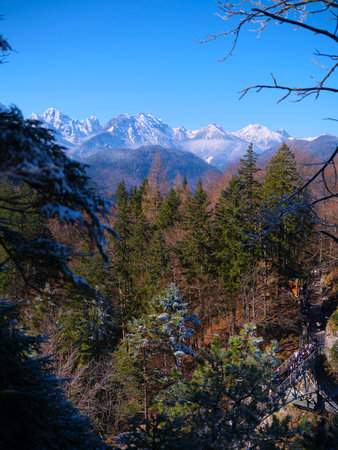 Mountain landscape showcasing snow-capped peaks and lush green forests on a clear sunny day in a scenic nature reserveの写真素材