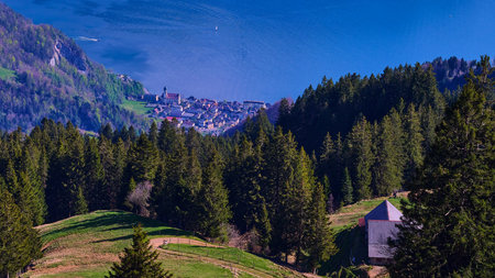 Scenic view of a lakeside town surrounded by mountains and forests in Switzerland under bright blue skyの写真素材