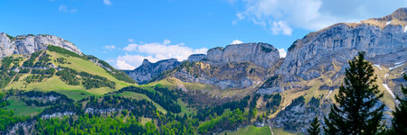 Majestic mountain landscape showcases lush greenery and rocky peaks on a clear day in the Swiss Alps