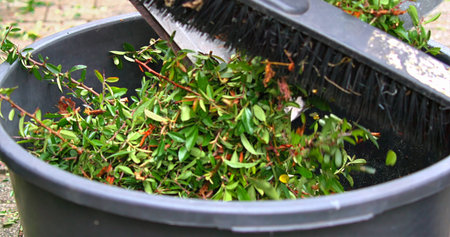 Prepared Compost Bin With Broom, Scene Showing Arranged Garden Refuse In Container With Cleaning...