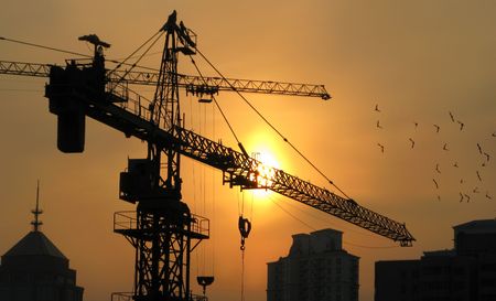 Sunset at Shanghai through construction machinery and birds