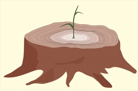 Young tree sprout from cut oneの写真素材