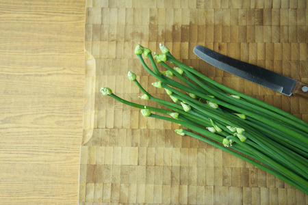 Spring onion flowerの写真素材