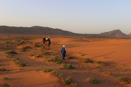 Desert travelの写真素材