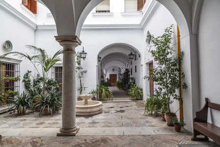 SEVILLE,SPAIN-NOVEMBER 16,2011: Typical patio entrance and house in Sevilla, Andalucia, Spain.のeditorial素材