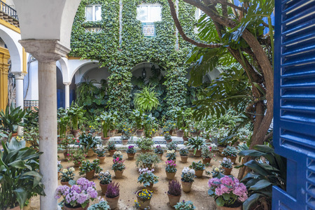 SEVILLE,SPAIN-NOVEMBER 16,2011: Typical patio with flowerpots in Sevilla, Andalucia, Spain.のeditorial素材
