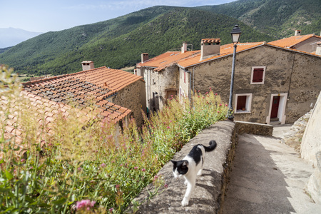 MOSSET,FRANCE-JULY 8,2015: Village view, small and picturesque french village,member of Les Plus Beaux Villages de France (The most beautiful villages of France).Mosset,Pyrenees-Orientales,Occitanie.のeditorial素材