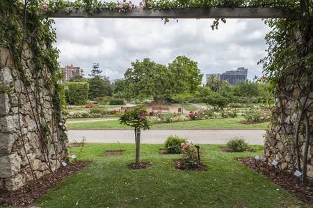 BARCELONA,SPAIN-MAY 10,2017:Park Cervantes,rose garden,Barcelona.のeditorial素材