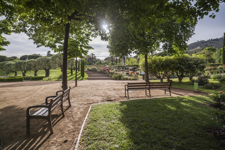 Garden of Cervantes, Rose garden in Les Corts district of Barcelona,Spain.の写真素材