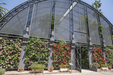 VALENCIA,SPAIN-MAY 9,2018: Botanical garden of Valencia.のeditorial素材