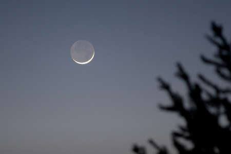 First Quarter Moon