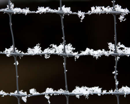 Frosty Fenceの写真素材