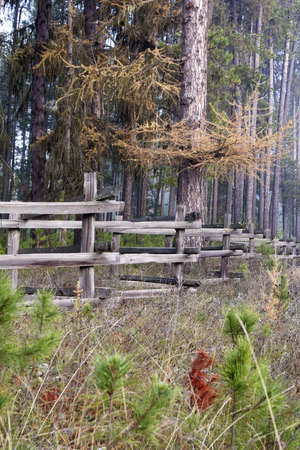 Rail Fence in Fallの写真素材