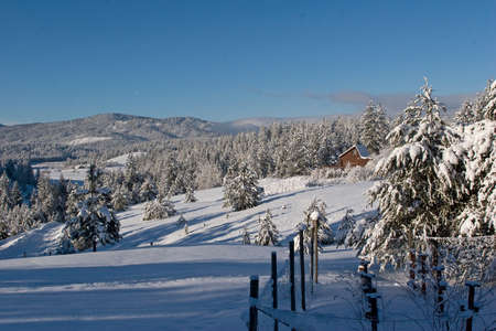 Cabin in Snowの写真素材