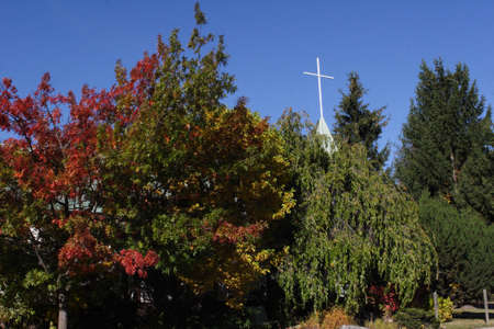 Cross above Fall foliageの写真素材