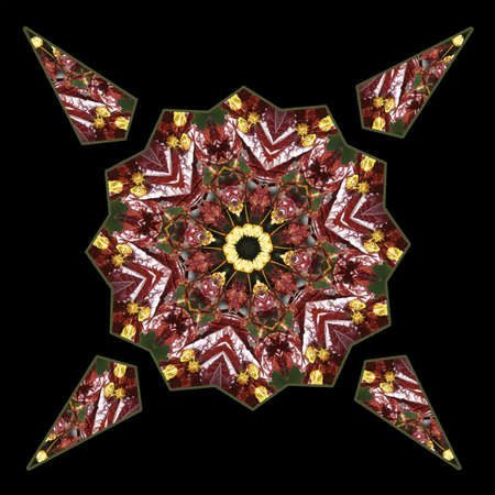 Maple Leaves Kaleidoscope