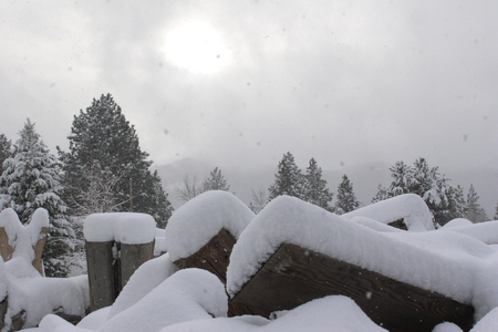 Snowy Dayの写真素材