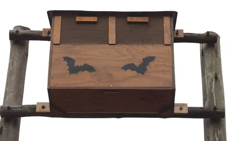 A man-made Bat house in Kruger National Park in South Africaの写真素材
