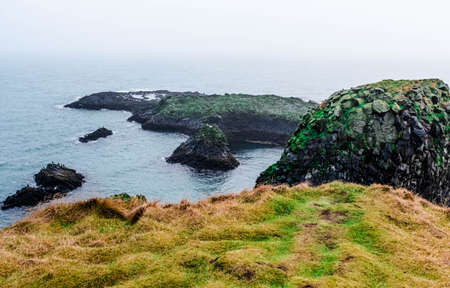 Cliffs of Arnarstapi in Iceland