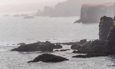 Cormorants on a rock of the Arnarstapi cliffs in Iceland