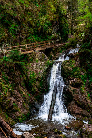 Small waterfalls in a ravine in the Black Forest, Germanyの写真素材