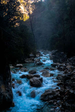 The river Borosa in the Natural Park of the Sierra de Cazorla as it passes through the Cerrada de...