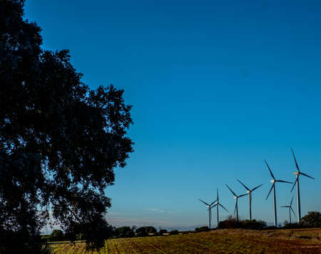Windmills at dawn at the Cuesta Colorada wind farm in TÃ©bar. LaMancha, Spain.の写真素材