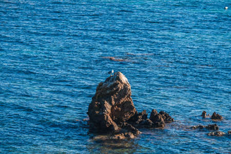 The rocky coast of the ancient island of Tabarca, in the Spanish Mediterranean, in front of Santa...