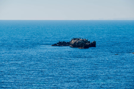 The rocky coast of the ancient island of Tabarca, in the Spanish Mediterranean, in front of Santa Pola, Alicanteの写真素材