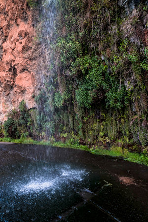 A waterfall falls in the middle of the road in Ponta do Sol, Madeiraの写真素材