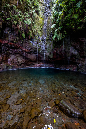 Washing of the 25 sources near Paul de la Serra in Madeiraの写真素材