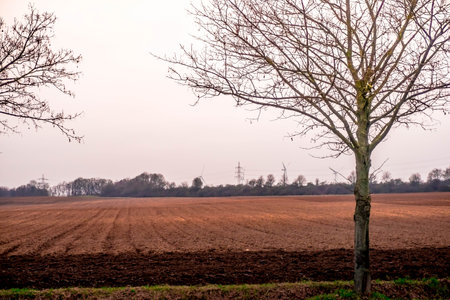 View from Grevenbroich in western Germanyの写真素材