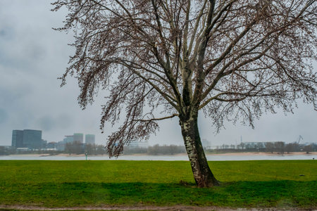 The German city of DÃ¼sseldorf from the left bank of the Rhine riverの写真素材