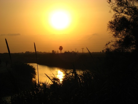 Sunset in a delta river near Valencia, nature の写真素材