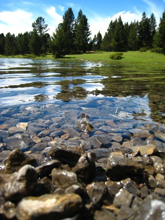 Small stones into a clear mountain pond, with pine trees far away の写真素材