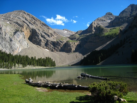 Logs, branches and grass in a pond near high rocky mountains の写真素材