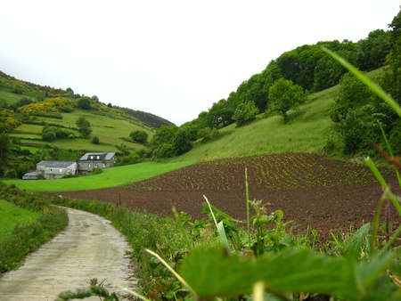 Green valley with brown dirt field の写真素材