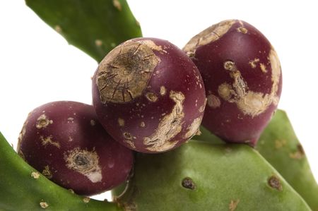 Prickly pear cactus ( Opuntia ficus-indica ) with red fruitsの写真素材