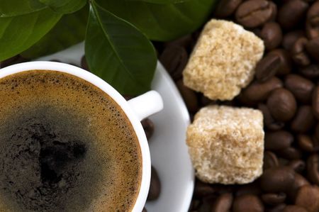 fresh coffee with coffee branchの写真素材
