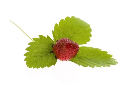 Strawberry isolated on white backgroundの写真素材