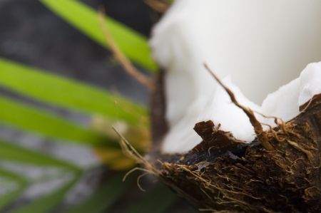 coconut and palm leaf. exotic sceneの写真素材