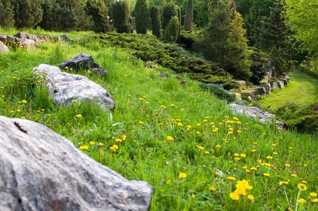 rock gardenの写真素材