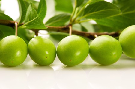 growing green plums isolated on the whiteの写真素材
