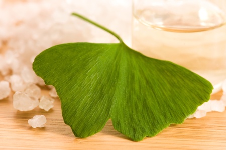 fresh leaves ginko biloba essential oil and sea salt - beauty treatmentの写真素材