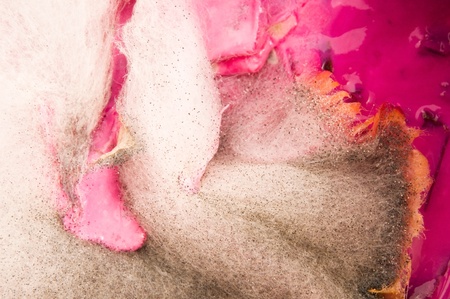 Soup damaged by mold, extreme closeup of texture の写真素材