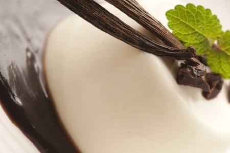 Panna Cotta with chocolate and vanilla beansの写真素材